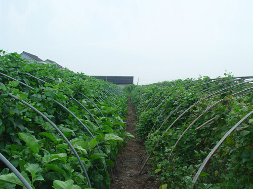 基地展示